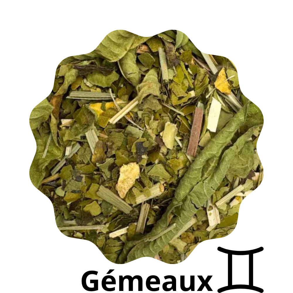 Tisane Gémeaux