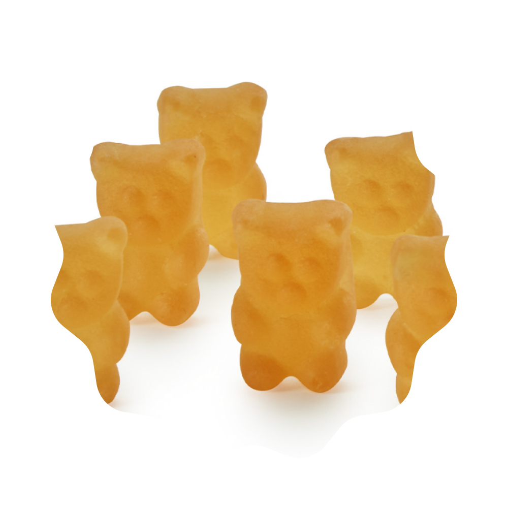 Ourson infusion Mangue Exotique VEGAN