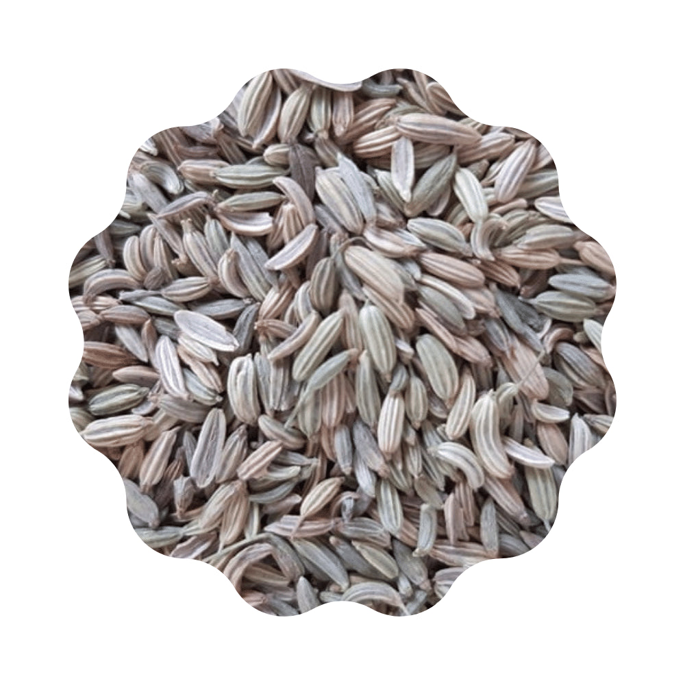 Fenouil
