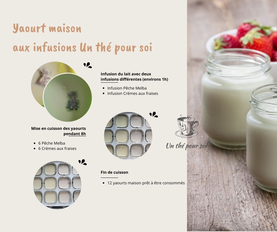 Yaourt aux Fraises - Recette de yaourt maison