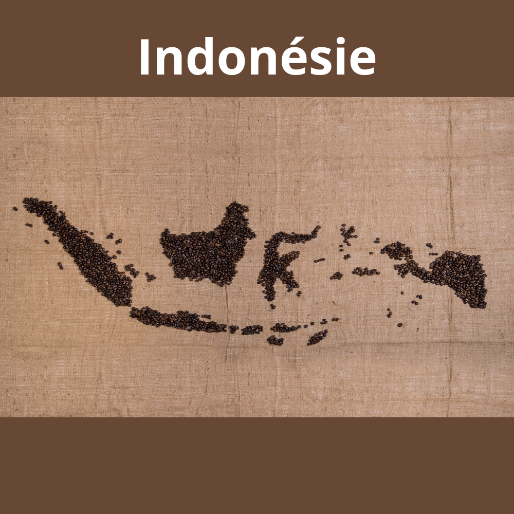 Café Indonésie