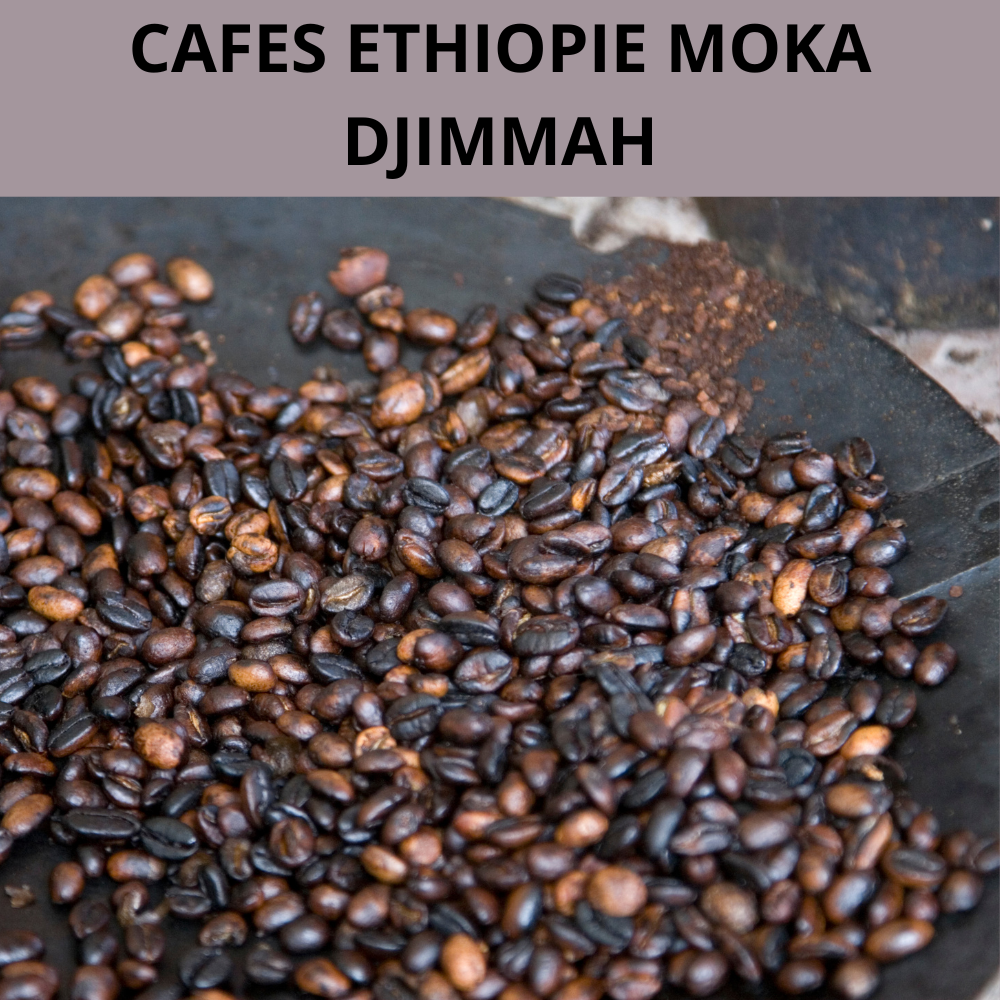 Café Moka Djimmah Ethiopie