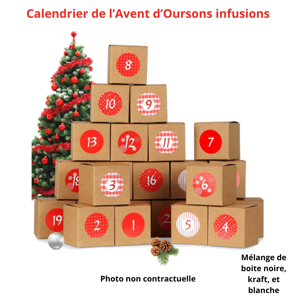 Calendrier de l'Avent d'Oursons Infusions