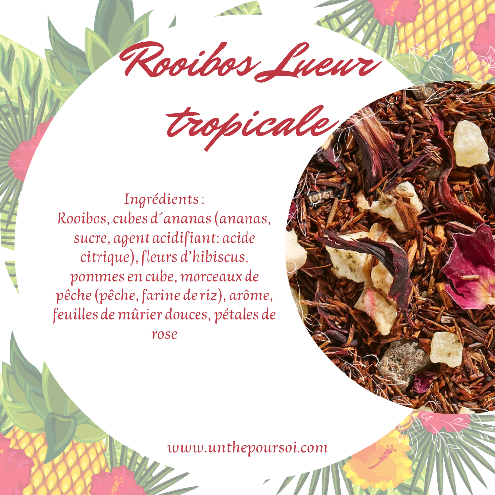 Rooibos Lueur tropicale