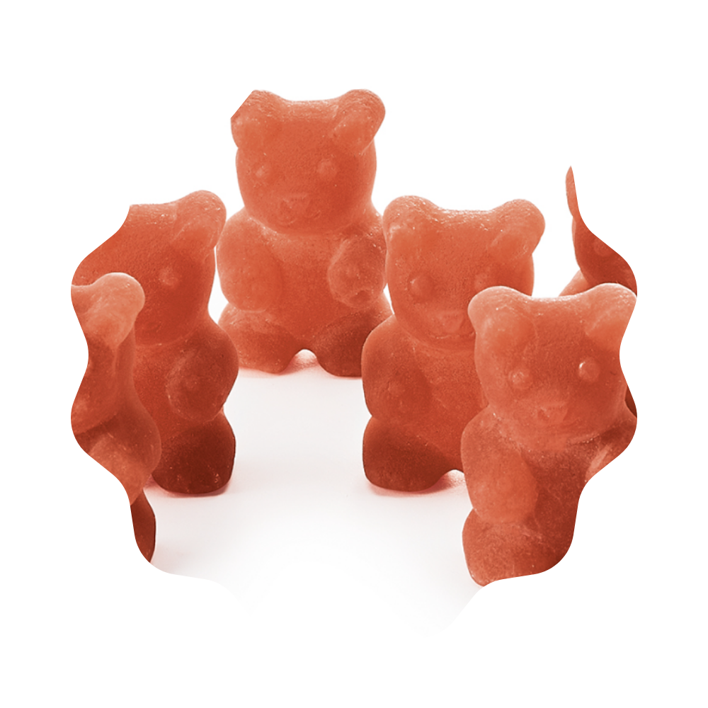 Ourson infusion Pain d'épices orange